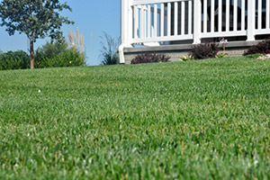 green lawn and porch